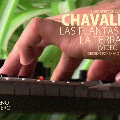 Chavales "Las Plantas De La Terraza"