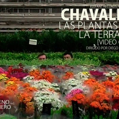 Chavales "Las Plantas De La Terraza"
