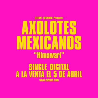 AXOLOTES MEXICANOS "Himawari" Single Digital 