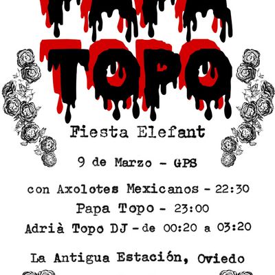 Papa Topo