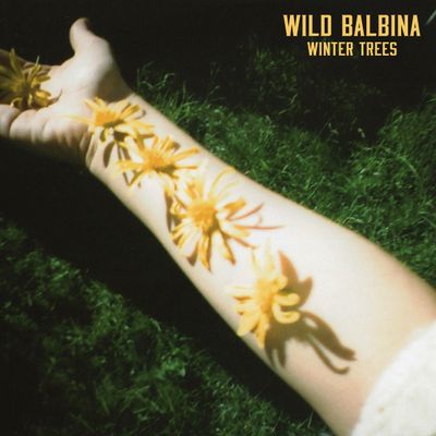 Wild Balbina "Winter Trees" Portada single digital