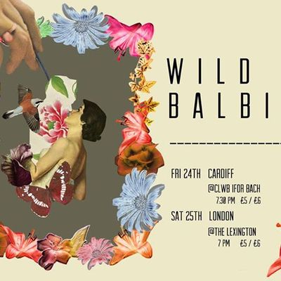 Wild Balbina Concerts in England