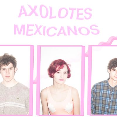 Axolotes Mexicanos