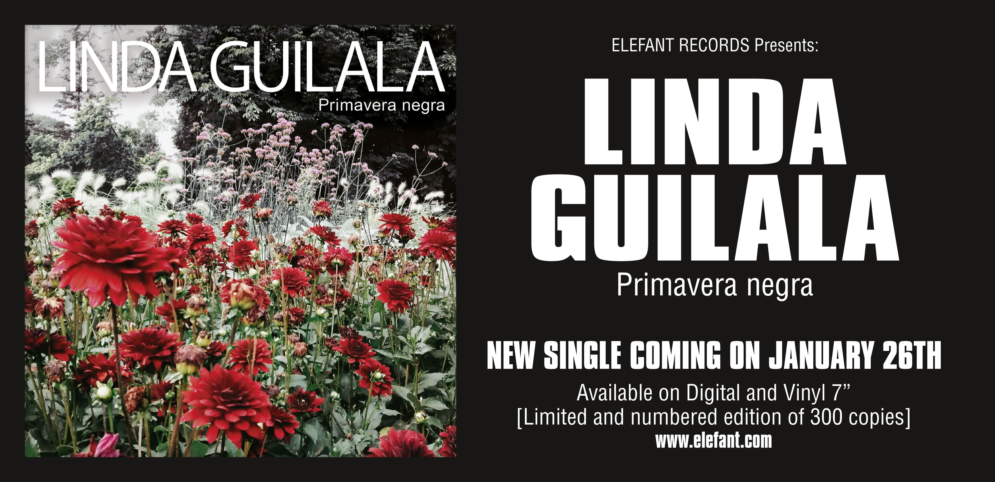 Linda Guilala "Primavera Negra"