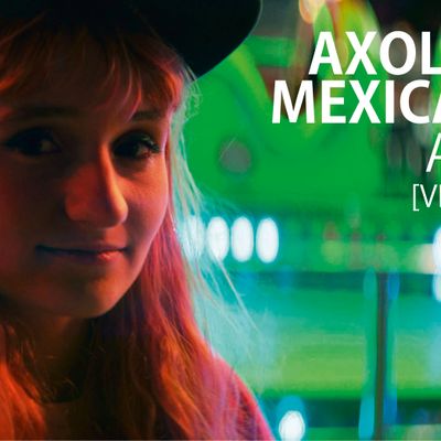 Axolotes Mexicanos "Astor"