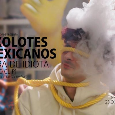 Axolotes Mexicanos "Cara De Idiota"