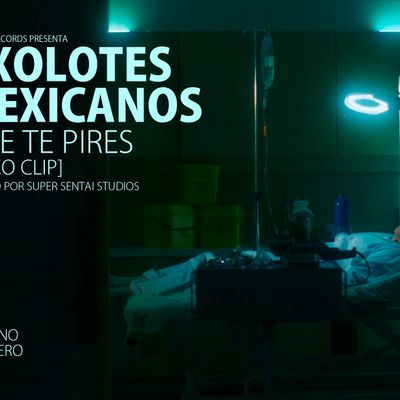Axolotes Mexicanos "Que Te Pires"