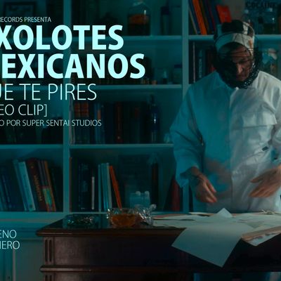 Axolotes Mexicanos "Que Te Pires"