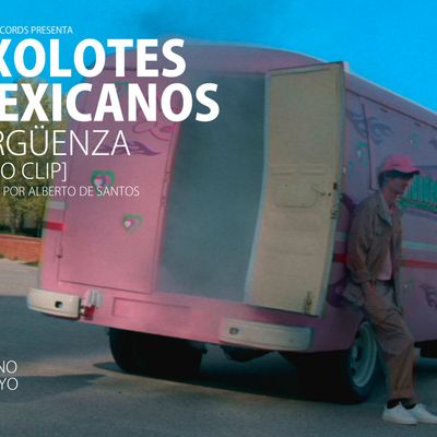 AXOLOTES MEXICANOS "Vergüenza" Single Digital 