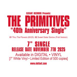 THE PRIMITIVES 