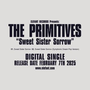 THE PRIMITIVES 