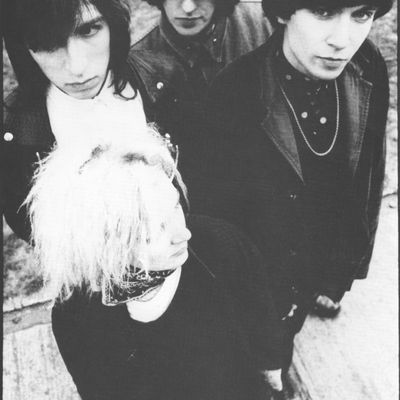THE PRIMITIVES 