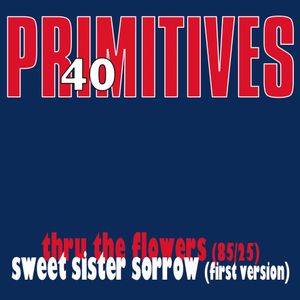 THE PRIMITIVES 
