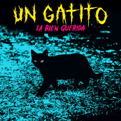 La Bien Querida "Un Gatito" Digital Single